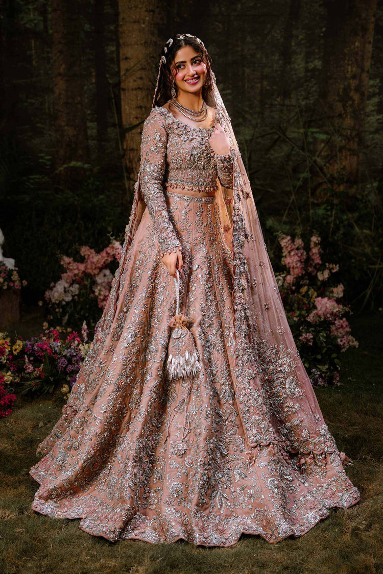 Desi Collection